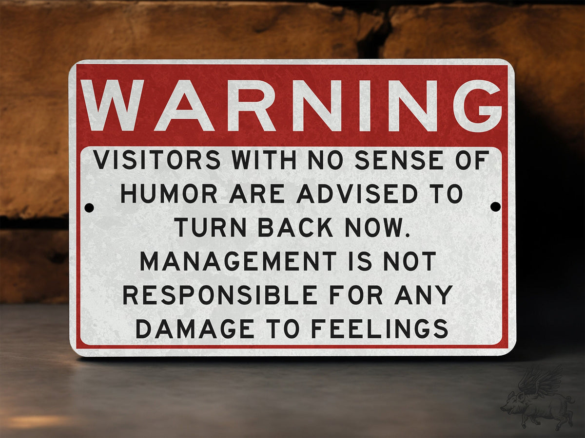 Metal Warning Sign, Not Responsible For Feelings, Sense Of Humor, Do Not Dumb, Funny Sarcastic Sign, Metal Garage Sign, Shop Sign, Dad Gift — photo 1
