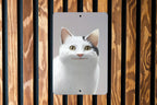 Polite Cat Meme Metal Sign - Courteous Cat Decor, Gentleman Cat Wall Art, Meme Humor, Respectful Feline Sign, Funny Home Decor — photo 4