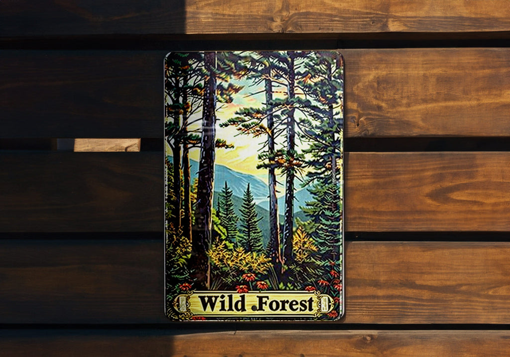 Adirondack Wild Forest Sign, New York State Decor, Vintage Aluminum Sign, Natural Beauty Artwork, Metal Wall Art — photo 1