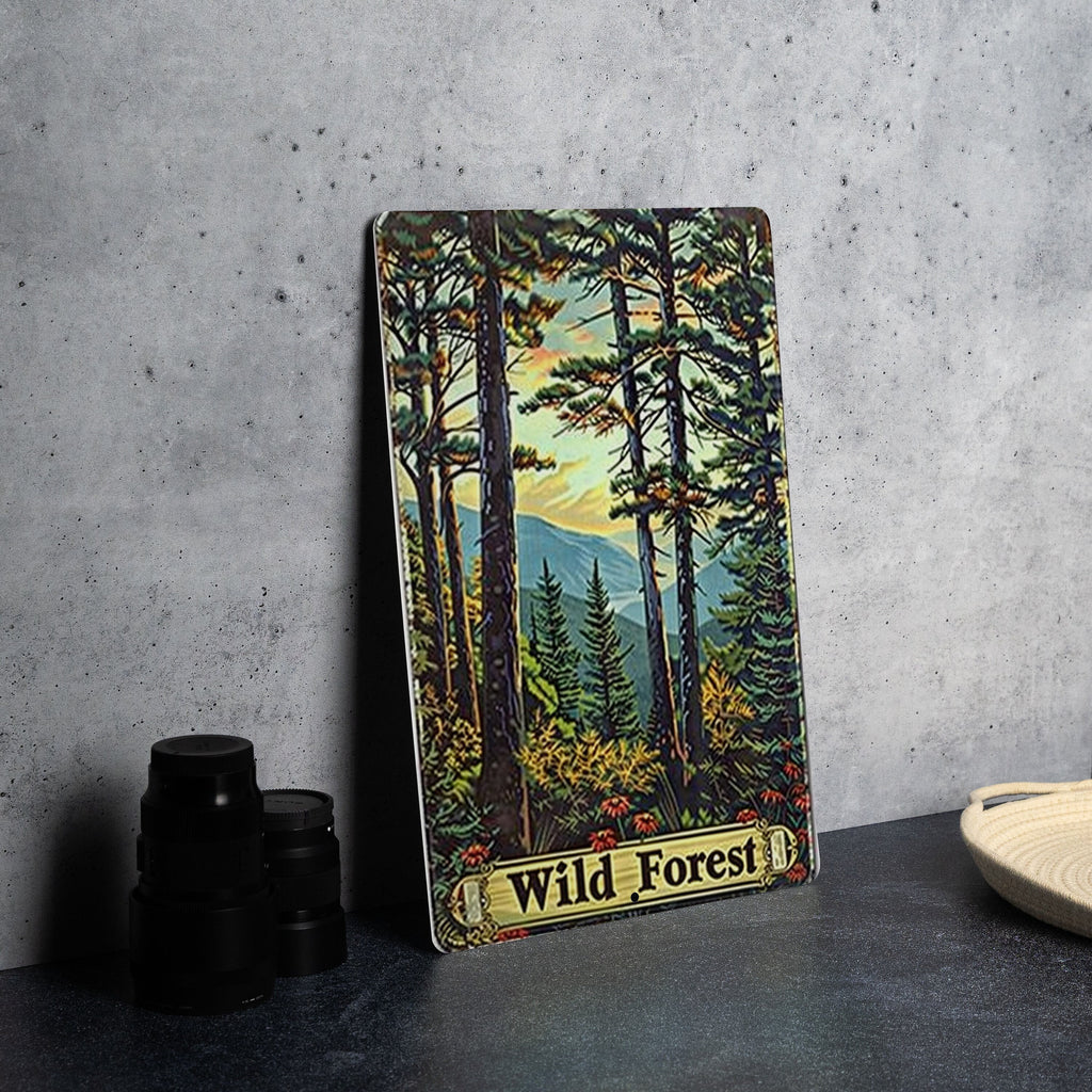 Adirondack Wild Forest Sign, New York State Decor, Vintage Aluminum Sign, Natural Beauty Artwork, Metal Wall Art — photo 2