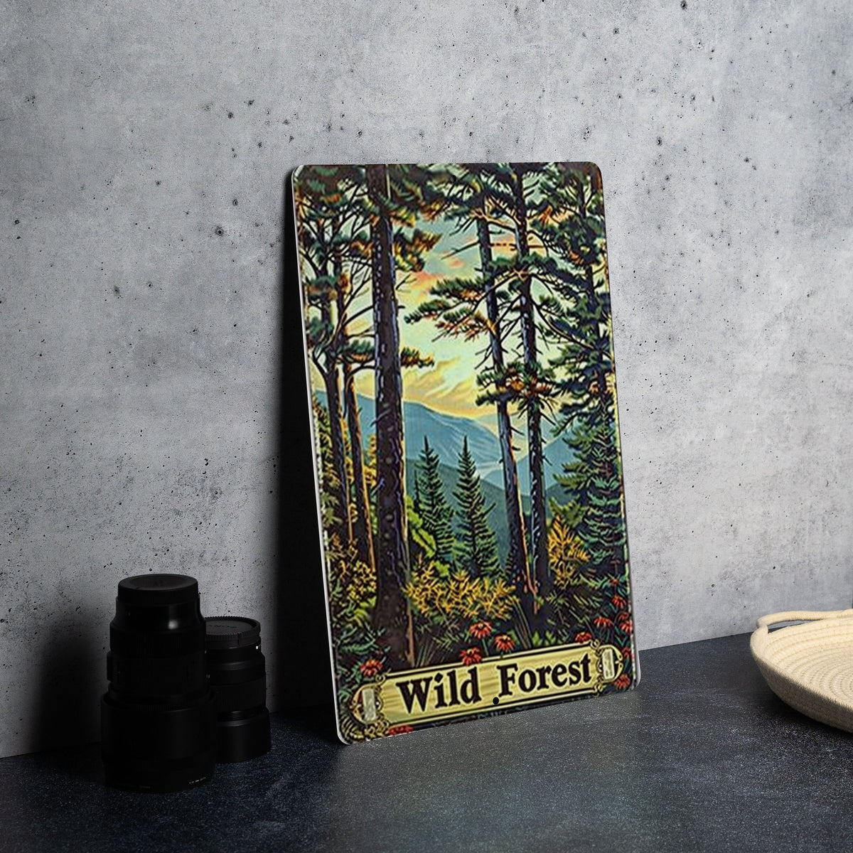 Adirondack Wild Forest Sign, New York State Decor, Vintage Aluminum Sign, Natural Beauty Artwork, Metal Wall Art — photo 2