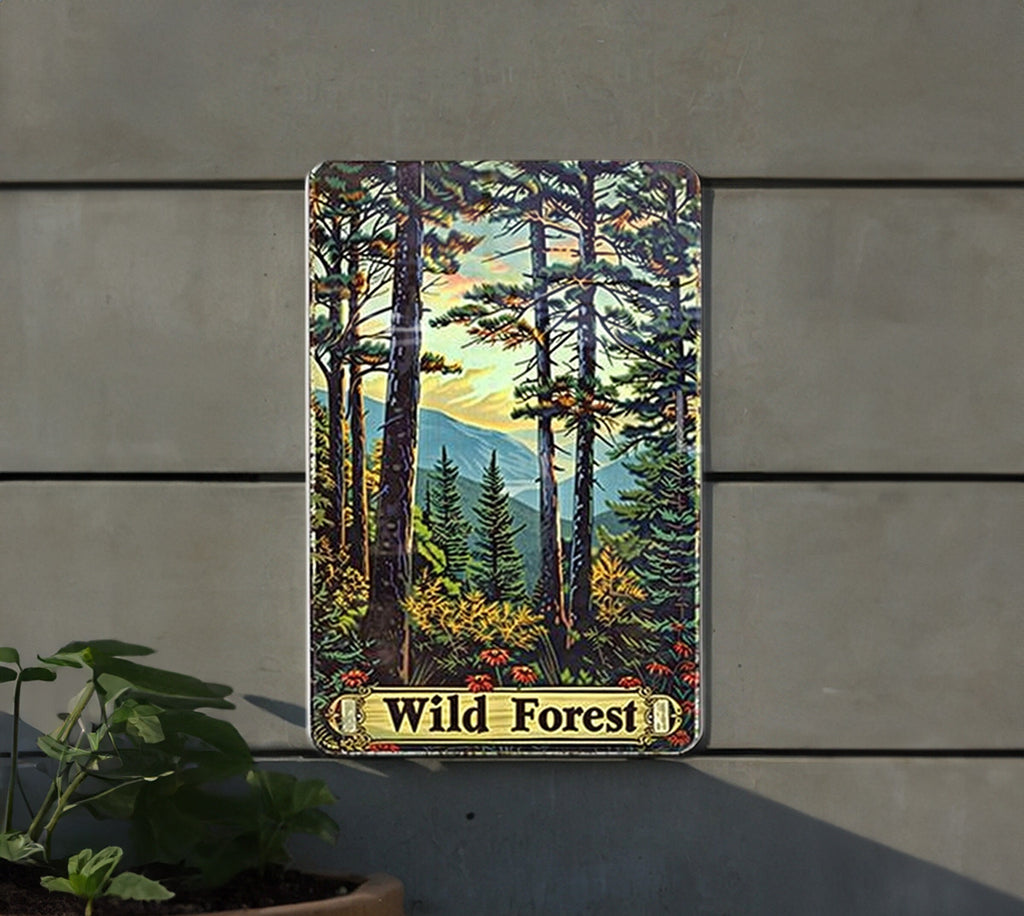 Adirondack Wild Forest Sign, New York State Decor, Vintage Aluminum Sign, Natural Beauty Artwork, Metal Wall Art — photo 5