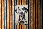 Dalmatian Vintage Style Metal Sign, Perfect Gift Idea, Wall Decor, Dog Lovers, Retro Design — photo 3
