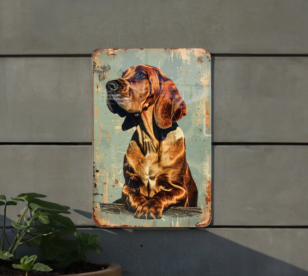 Vintage Bloodhound Metal Sign, Retro Style Decor, Wall Art, Collectible Signs, Home Decoration — photo 3