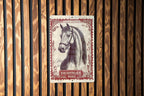 Majestic Equine Elegance Metal Sign, Vintage Horse Decor, Rustic Equestrian Art, Farmhouse Wall Decor, Sepia Horse Print, Country Home Decor — photo 3
