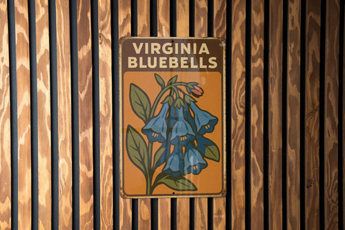 1930s Virginia Bluebells WPA Tin Sign – Vintage Metal Wall Art, Rustic Mid-Century Decor, Botanical Heroic Poster Style — photo 2