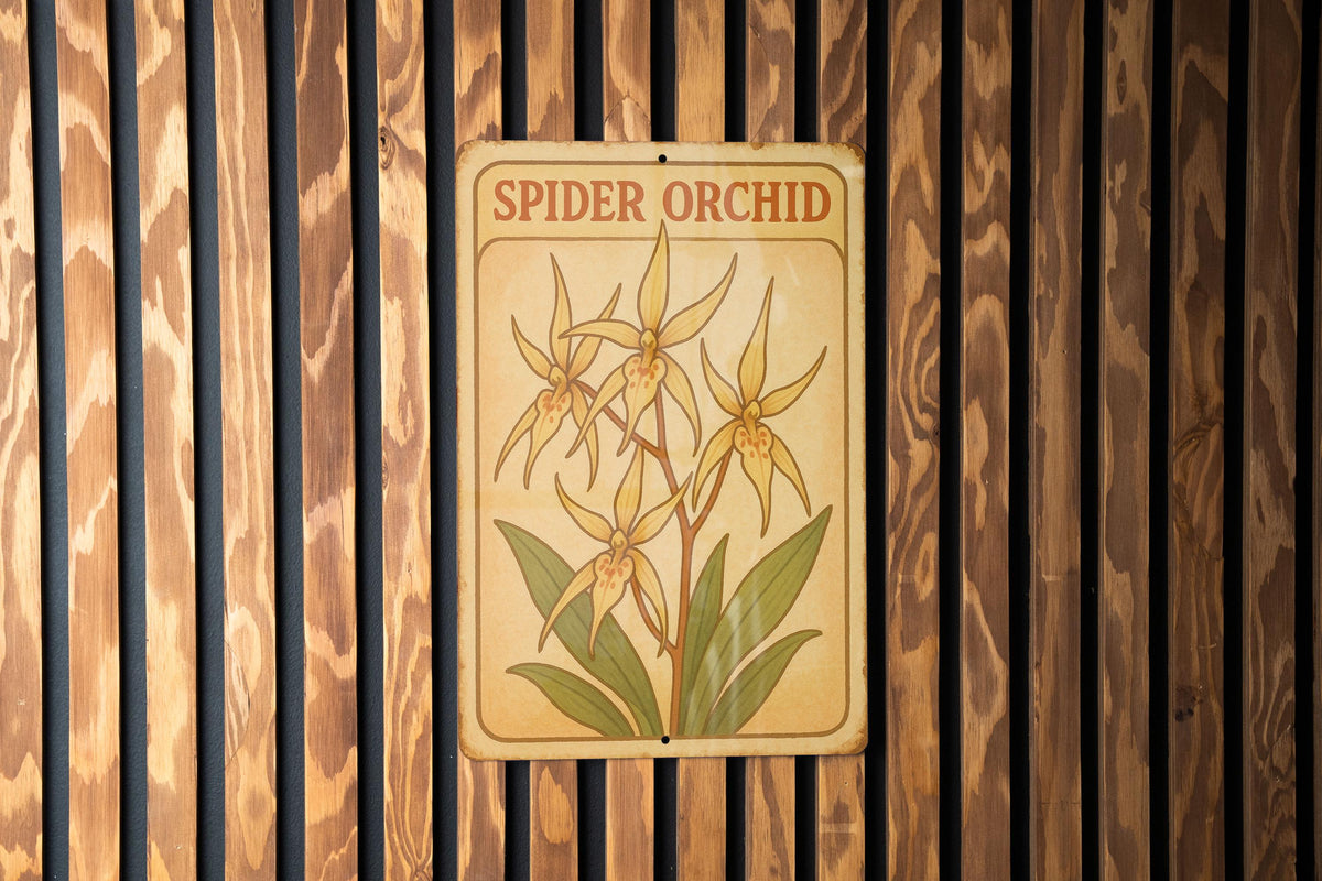 Spider Orchid Tin Sign 1950s Storybook Style Wall Art – Pastel Vintage Metal Decor, Soft Retro Botanical Illustration — photo 3
