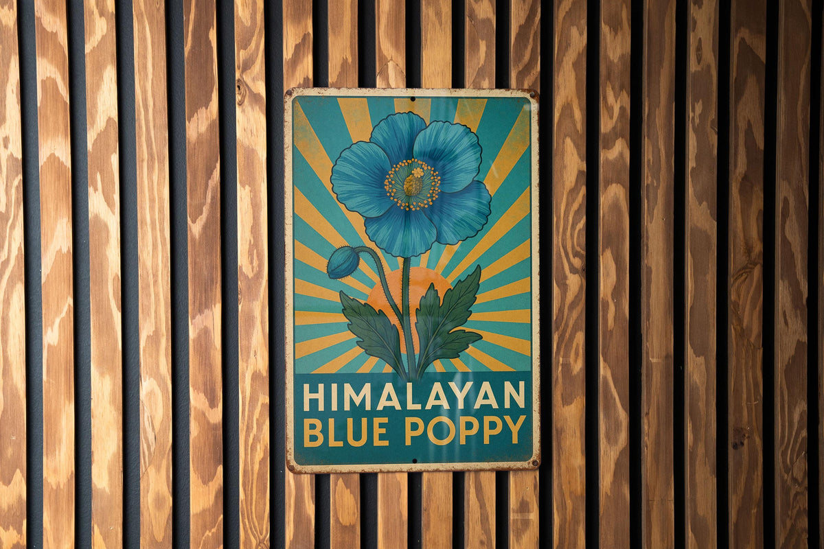 Art Deco Himalayan Blue Poppy Metal Sign – Vintage Travel Poster Style Tin Wall Art, Geometric Rays, Turquoise & Gold Decor — photo 3
