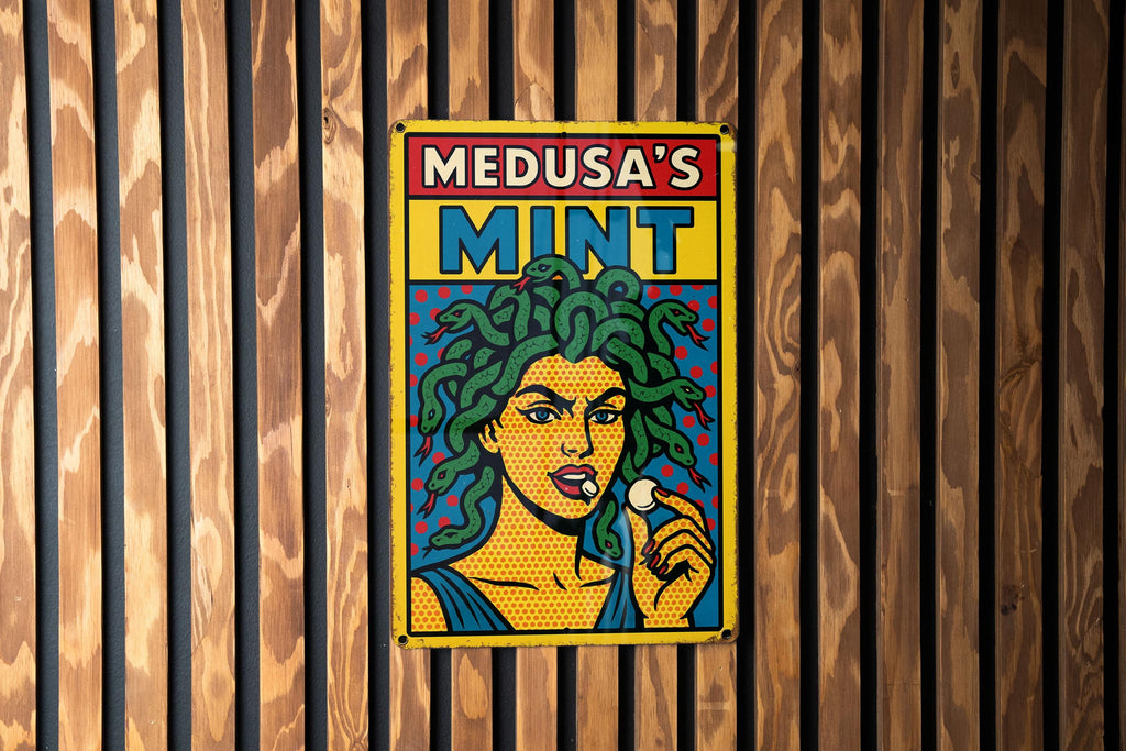 Pop Art Medusa Tin Sign – Comic Style Wall Decor, Retro Metal Poster with Bold Lines, Ben-Day Dots, Vintage Scratch Look — photo 2