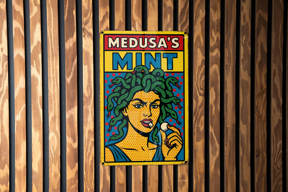 Pop Art Medusa Tin Sign – Comic Style Wall Decor, Retro Metal Poster with Bold Lines, Ben-Day Dots, Vintage Scratch Look — photo 2