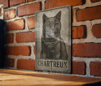 Chartreux Cat Metal Sign – Brushed Steel Look, Engraved Wall Art, Vintage Patina, Black Etched Lines, Retro Home Decor — photo 3