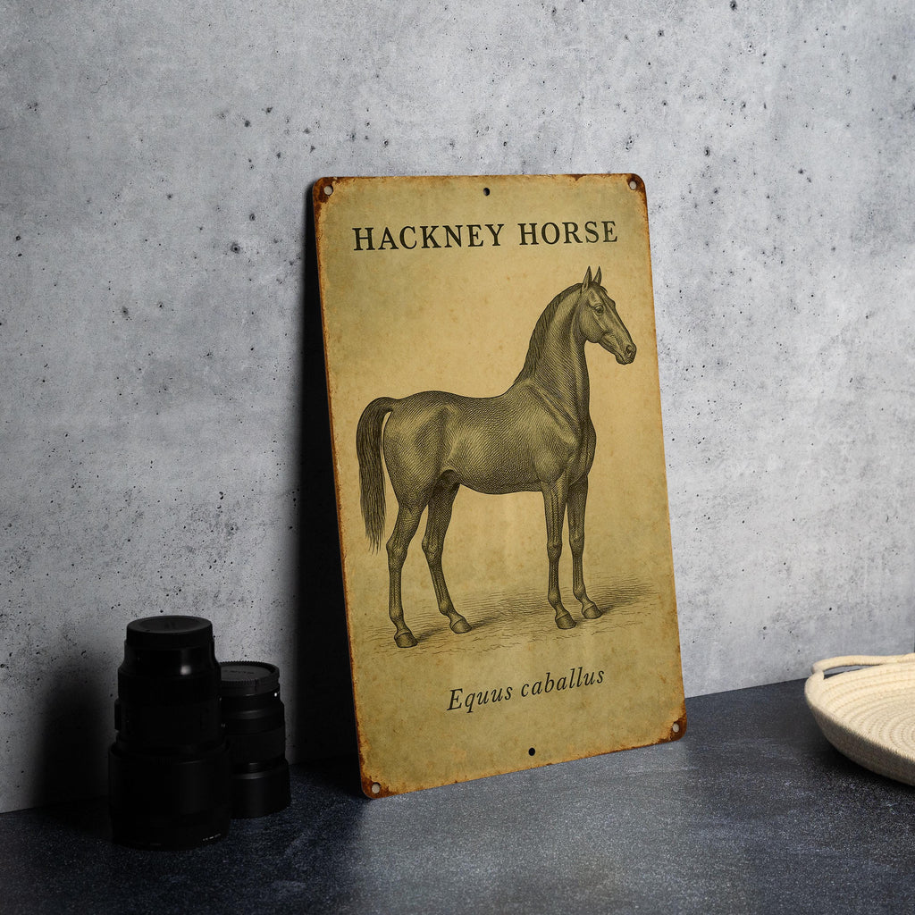 Vintage Hackney Horse Tin Sign – Botanical Illustration, Aged Parchment Look, Equestrian Wall Art, Rustic Metal Decor — photo 2