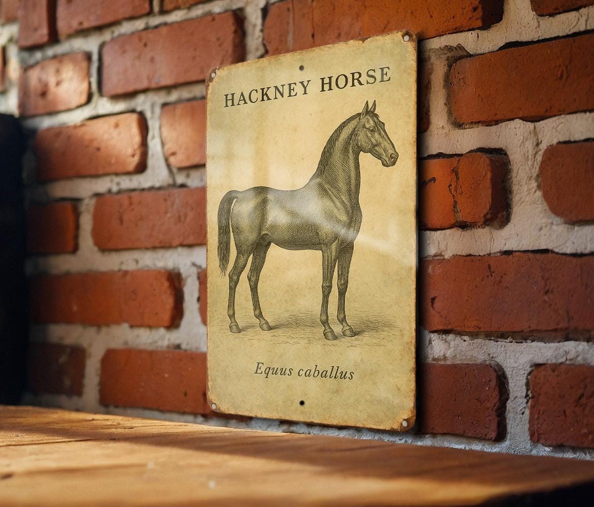 Vintage Hackney Horse Tin Sign – Botanical Illustration, Aged Parchment Look, Equestrian Wall Art, Rustic Metal Decor — photo 3