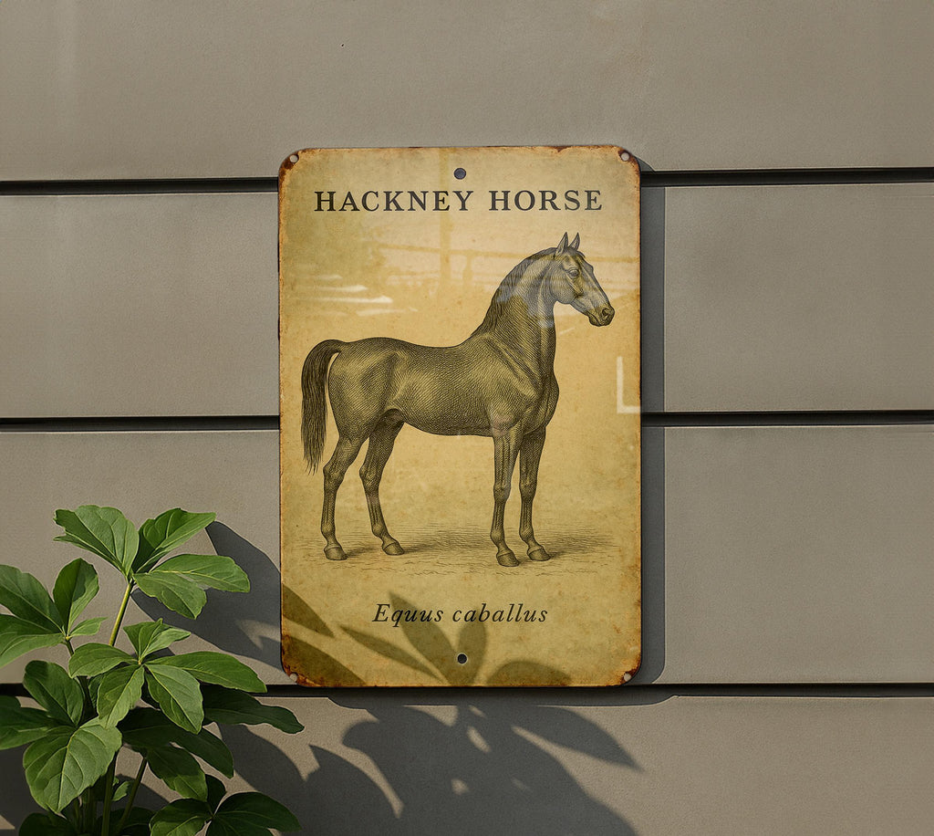 Vintage Hackney Horse Tin Sign – Botanical Illustration, Aged Parchment Look, Equestrian Wall Art, Rustic Metal Decor — photo 5