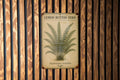 Vintage Lemon Button Fern Botanical Metal Sign – Aged Tin Wall Art with Scientific Labels, Sage & Ochre Nature Decor — photo 1
