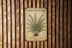 Vintage Lemon Button Fern Botanical Metal Sign – Aged Tin Wall Art with Scientific Labels, Sage & Ochre Nature Decor — photo 1