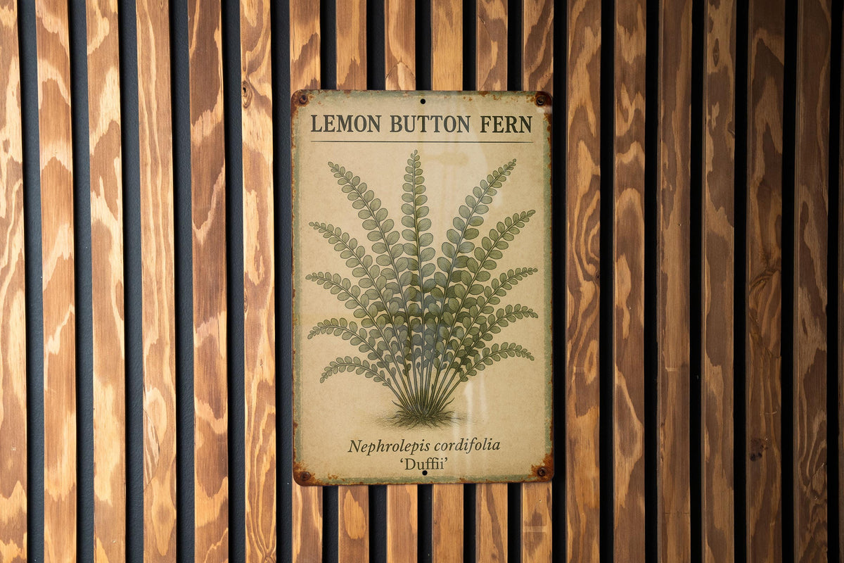 Vintage Lemon Button Fern Botanical Metal Sign – Aged Tin Wall Art with Scientific Labels, Sage & Ochre Nature Decor — photo 1