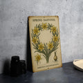 Vintage Daffodil Botanical Metal Sign – Aged Tin Wall Art with Scientific Labels, Sage & Ochre Spring Floral Illustration — photo 1