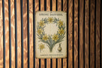 Vintage Daffodil Botanical Metal Sign – Aged Tin Wall Art with Scientific Labels, Sage & Ochre Spring Floral Illustration — photo 2