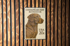 Chesapeake Bay Retriever Metal Sign – Rustic Dog Wall Art, Vintage Stamp Style Decor for Cabin, Lodge, or Kennel — photo 3