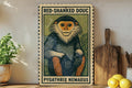 Red-Shanked Douc Metal Sign – Vintage Stamp Style Wall Art, Tropical Primate Decor, Vertical Aluminum Wildlife Print — photo 1