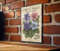 Vintage African Violet Stamp Art Metal Sign – Botanical Flower Wall Decor, Retro Garden Plant Lover Gift, Indoor Floral Plaque — photo 1