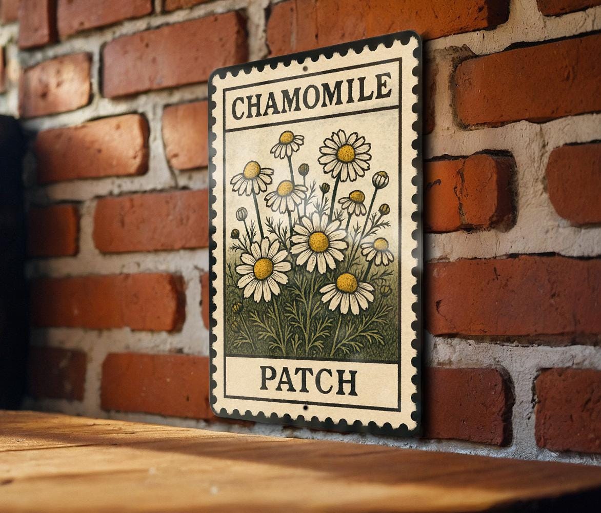Chamomile Patch Metal Sign – Vintage Botanical Wall Art, Rustic Garden Decor, Floral Stamp Style Tin Sign for Kitchen or Porch — photo 3