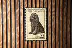 Field Spaniel Metal Sign – Vintage Dog Wall Art, Rustic Farmhouse Decor, Retro Stamp Style Kennel Sign for Pet Lovers — photo 1
