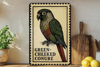 Green-Cheeked Conure Metal Sign – Vintage Stamp Style Bird Wall Art for Home, Aviary, or Pet Lover Décor — photo 2
