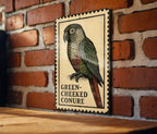 Green-Cheeked Conure Metal Sign – Vintage Stamp Style Bird Wall Art for Home, Aviary, or Pet Lover Décor — photo 3