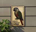 Green-Cheeked Conure Metal Sign – Vintage Stamp Style Bird Wall Art for Home, Aviary, or Pet Lover Décor — photo 5