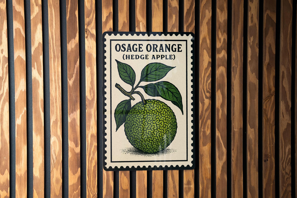 Osage Orange Hedge Apple Metal Sign – Vintage Stamp Style Wall Art, Rustic Farmhouse Decor, Botanical Tin Plaque — photo 2
