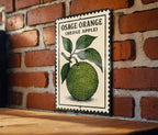Osage Orange Hedge Apple Metal Sign – Vintage Stamp Style Wall Art, Rustic Farmhouse Decor, Botanical Tin Plaque — photo 3