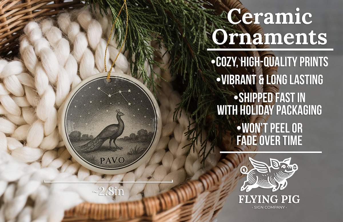 Pavo Star Constellation Ceramic Ornament Featuring Celestial Figures and Iconic Pavo Landmark Design — photo 6