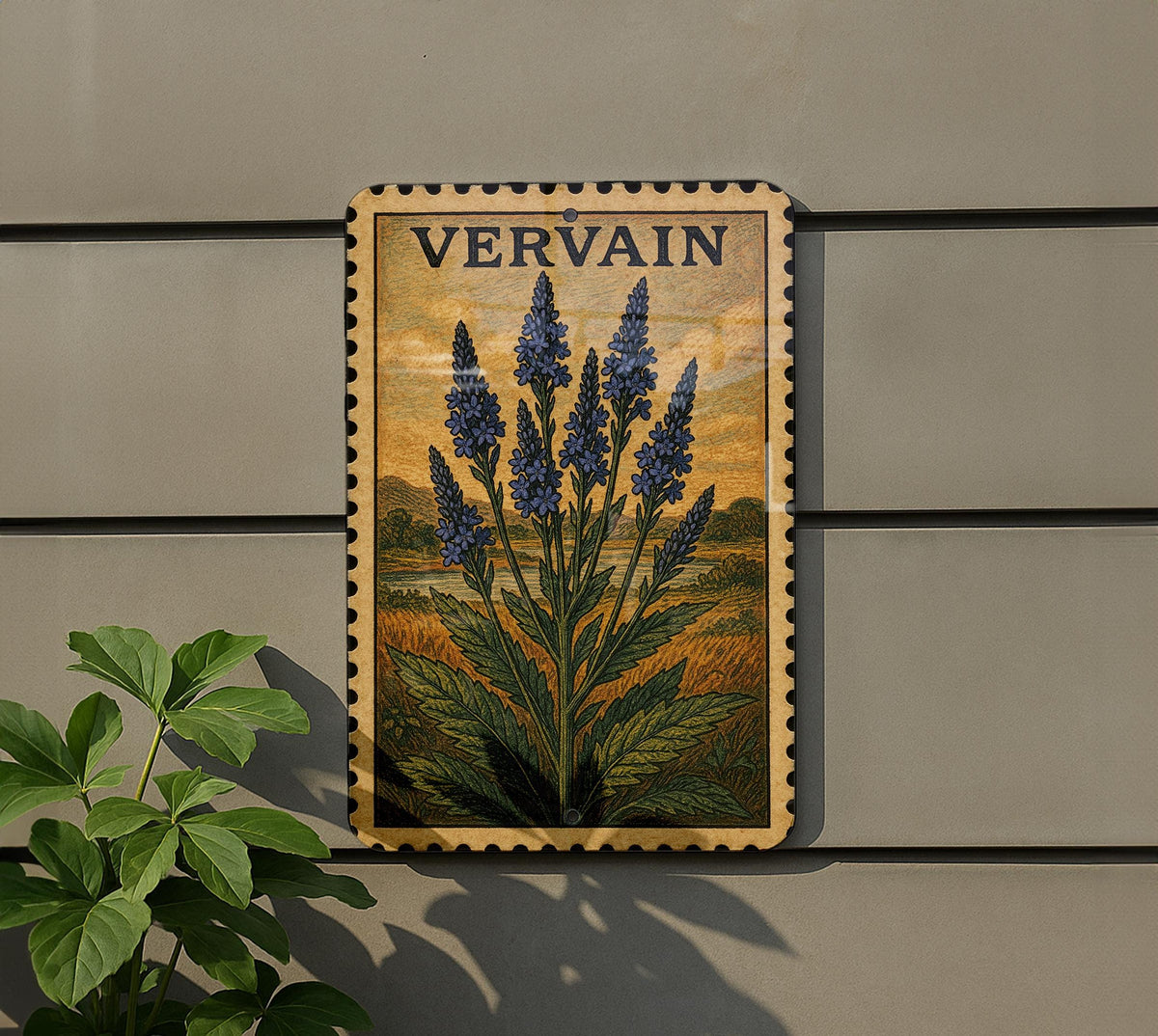 Vervain Blue Vintage Stamp Style Metal Sign, Botanical Vervain Flower Plaque, Garden Decor Wall Sign, Herbal Plant Sign — photo 5