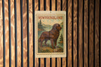 Newfoundland Vintage Stamp Style Metal Sign, Newfoundland Canada Travel Souvenir Wall Decor, Province Landmark Signage Gift — photo 1