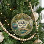 Werner-Boyce Salt Springs State Park Florida Ceramic Ornament, Watercolor Park Landscape Souvenir Keepsake Gift — photo 6