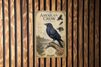 American Crow Metal Sign, Audubon Inspired Ornithology Plate, Scientific Bird Illustration with Range Map, Habitat Notes Decor — photo 1