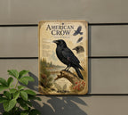 American Crow Metal Sign, Audubon Inspired Ornithology Plate, Scientific Bird Illustration with Range Map, Habitat Notes Decor — photo 5