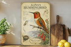 Allen’s Hummingbird Metal Sign, Audubon-Inspired Bird Illustration, Natural History Specimen Plate Wall Decor Gift for Birders — photo 2