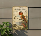 Allen’s Hummingbird Metal Sign, Audubon-Inspired Bird Illustration, Natural History Specimen Plate Wall Decor Gift for Birders — photo 5