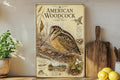 American Woodcock Metal Sign Vintage Natural History Bird Illustration Audubon Inspired Ornithology Field Guide Wall Decor Gift — photo 1