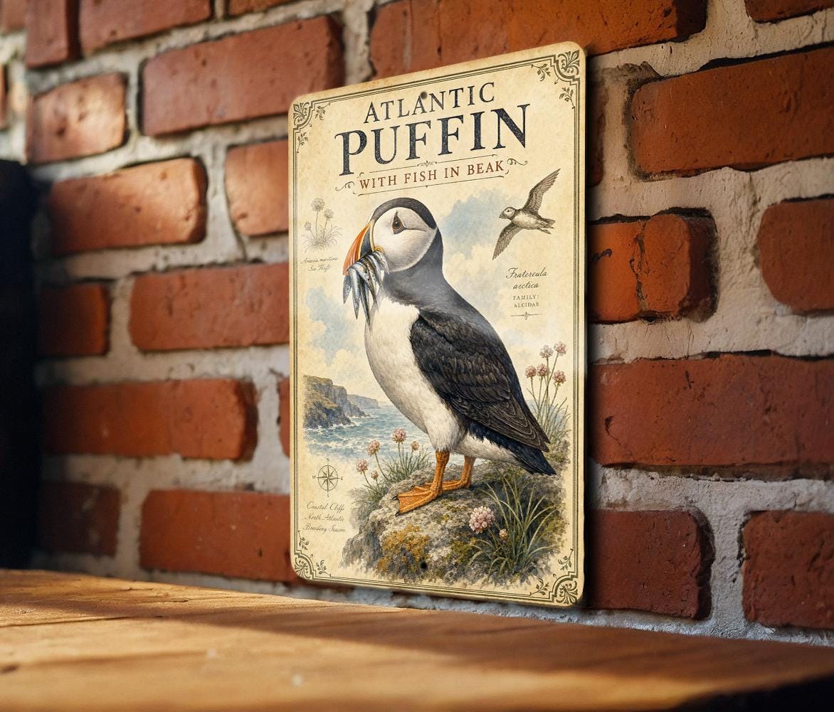 Atlantic Puffin with Fish in Beak Metal Sign, Audubon Ornithology Plate, Scientific Name, Range Map, Habitat Notes — photo 2
