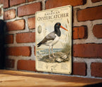 American Oystercatcher Metal Sign, Audubon Ornithology Plate, Scientific Bird Illustration, Range Map & Habitat Scene Wall Decor — photo 2