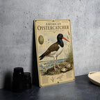 American Oystercatcher Metal Sign, Audubon Ornithology Plate, Scientific Bird Illustration, Range Map & Habitat Scene Wall Decor — photo 4