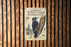 American Three-Toed Woodpecker Metal Sign, Audubon-Inspired Natural History Bird Illustration, Scientific Name Range Map Notes Habitat Scene — photo 2
