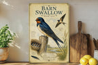 Barn Swallow Metal Sign, Audubon-Inspired Natural History Bird Illustration with Scientific Name, Range Map, Habitat Notes Wall Decor — photo 3