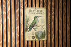 Berylline Hummingbird Metal Sign, Audubon-Inspired Ornithology Plate, Scientific Name, Range Map, Habitat Notes, Bird Wall Decor — photo 2