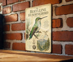 Berylline Hummingbird Metal Sign, Audubon-Inspired Ornithology Plate, Scientific Name, Range Map, Habitat Notes, Bird Wall Decor — photo 3