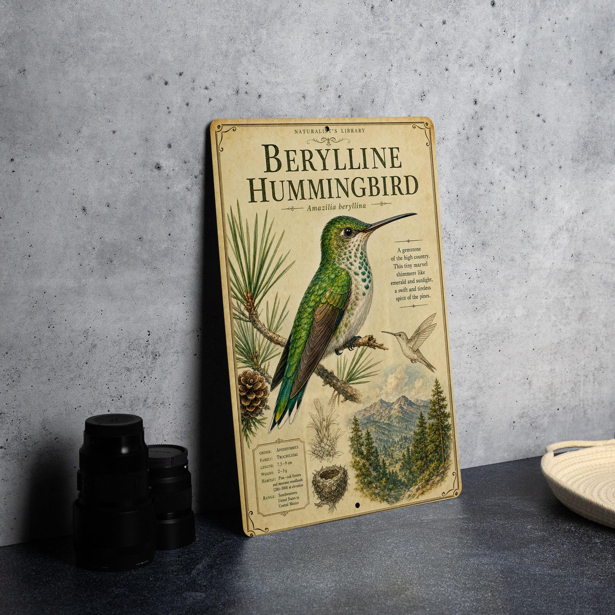 Berylline Hummingbird Metal Sign, Audubon-Inspired Ornithology Plate, Scientific Name, Range Map, Habitat Notes, Bird Wall Decor — photo 4